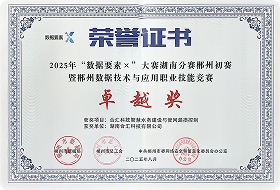 2025年“数据要素x”大赛湖南分赛郴州初赛暨郴州数据技术与应用职业技能竞赛 卓越奖